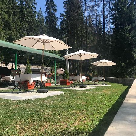 Hotel Iasicon Lacu Rosu Εξωτερικό φωτογραφία